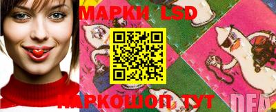 Альфа ПВП Ставрополь