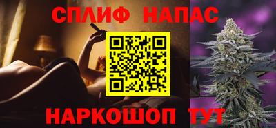 Альфа ПВП Ставрополь