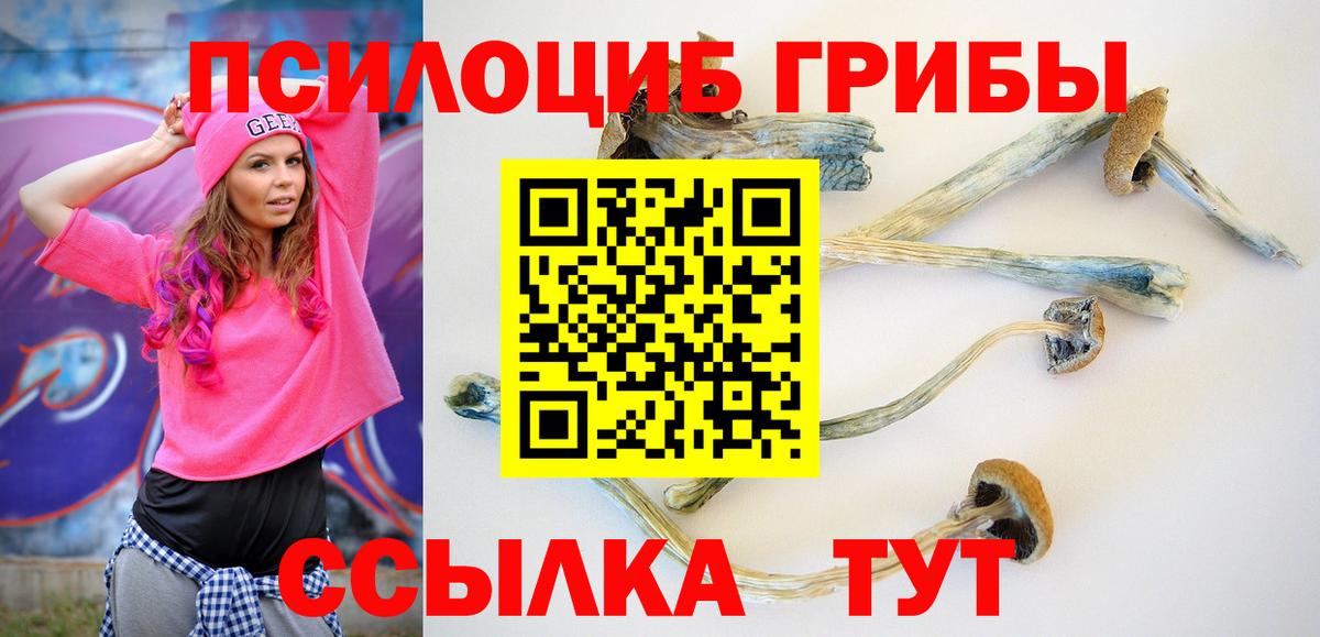 Галлюциногенные грибы Psilocybine cubensis Валуйки